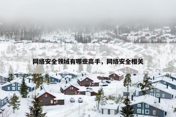 网络安全领域有哪些高手，网络安全相关