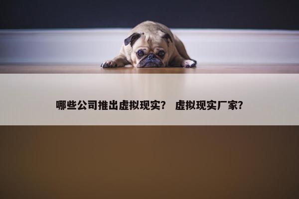 哪些公司推出虚拟现实？ 虚拟现实厂家？