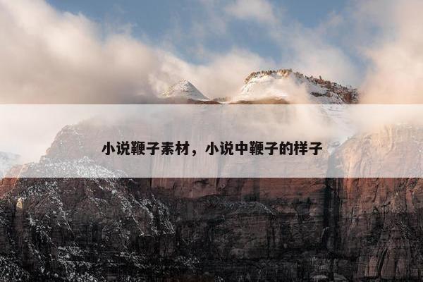 小说鞭子素材，小说中鞭子的样子