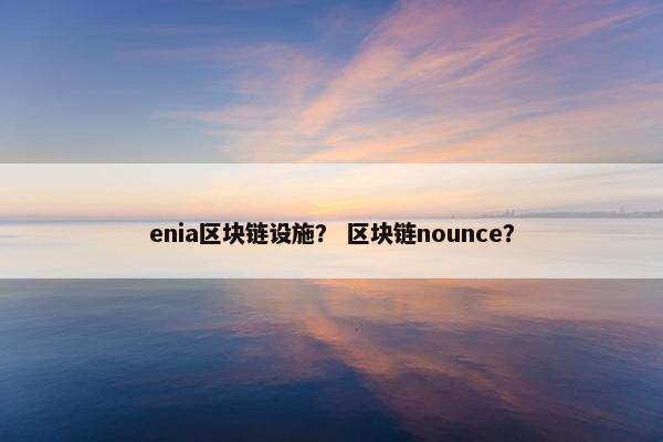 enia区块链设施？ 区块链nounce？