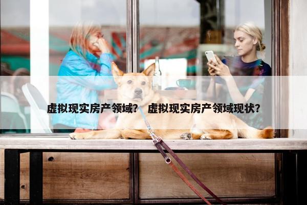 虚拟现实房产领域？ 虚拟现实房产领域现状？