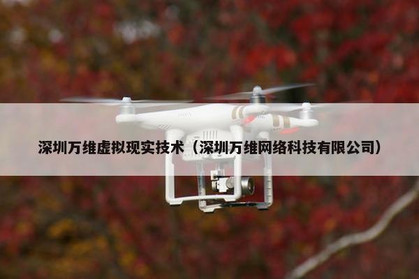 深圳万维虚拟现实技术(深圳万维网络科技有限公司) 深圳万维虚拟现实技术(深圳万维网络科技有限公司)