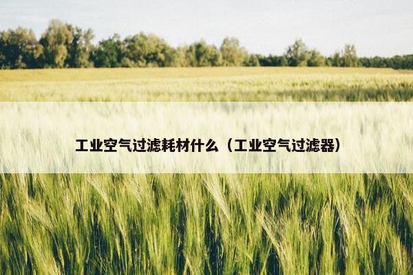 工业空气过滤耗材什么(工业空气过滤器) 工业空气过滤耗材什么(工业空气过滤器)