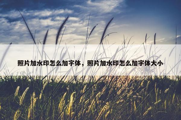 照片加水印怎么加字体，照片加水印怎么加字体大小