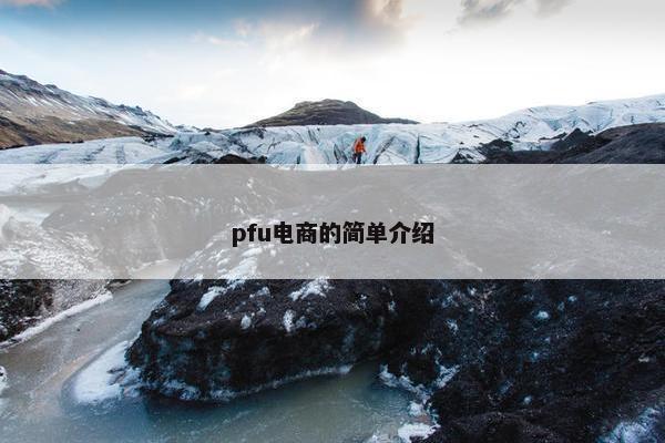 pfu电商的简单介绍