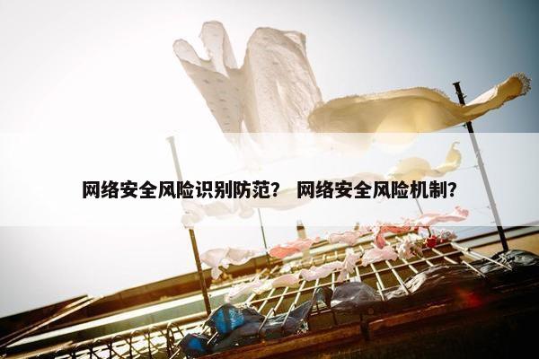 网络安全风险识别防范？ 网络安全风险机制？