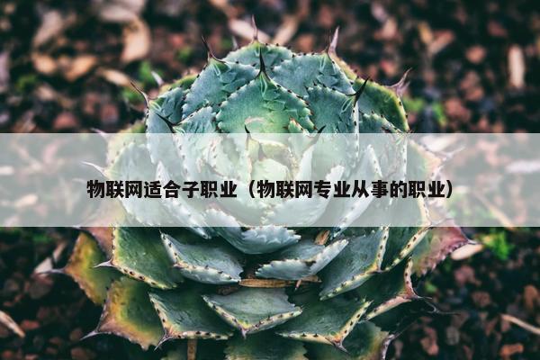 物联网适合子职业（物联网专业从事的职业）
