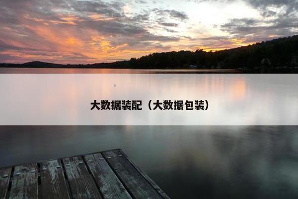 大数据装配（大数据包装）