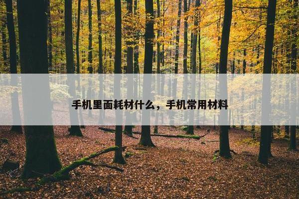 手机里面耗材什么,手机常用材料 手机里面耗材什么,手机常用材料