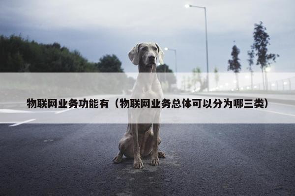 物联网业务功能有（物联网业务总体可以分为哪三类）