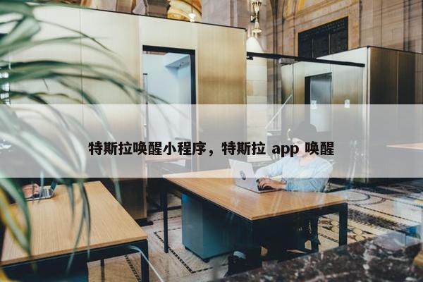 特斯拉唤醒小程序，特斯拉 app 唤醒