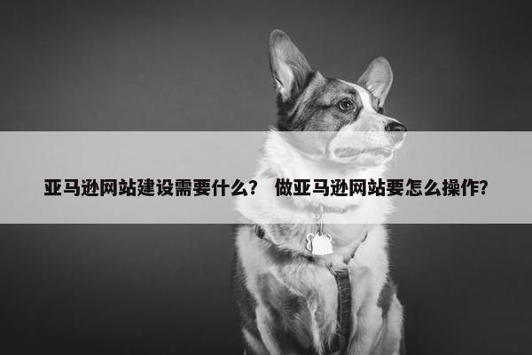 亚马逊网站建设需要什么？ 做亚马逊网站要怎么操作？