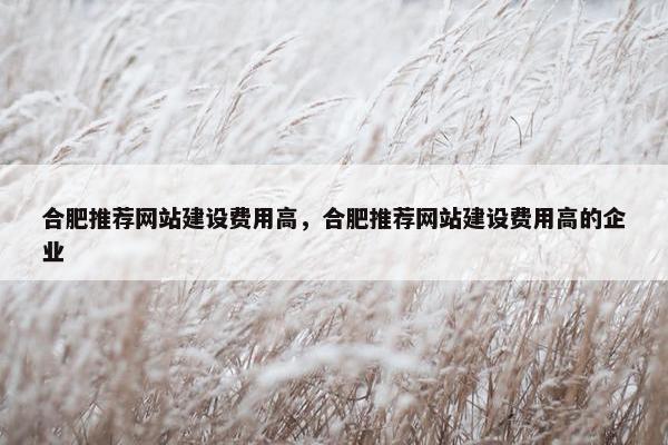 合肥推荐网站建设费用高,合肥推荐网站建设费用高的企业 合肥推荐网站建设费用高,合肥推荐网站建设费用高的企业