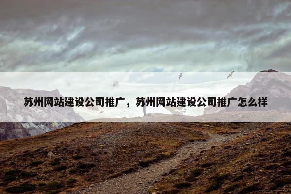 苏州网站建设公司推广，苏州网站建设公司推广怎么样