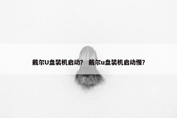 戴尔U盘装机启动? 戴尔u盘装机启动慢? 戴尔U盘装机启动? 戴尔u盘装机启动慢?