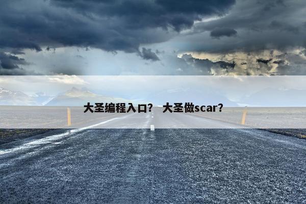 大圣编程入口？ 大圣做scar？
