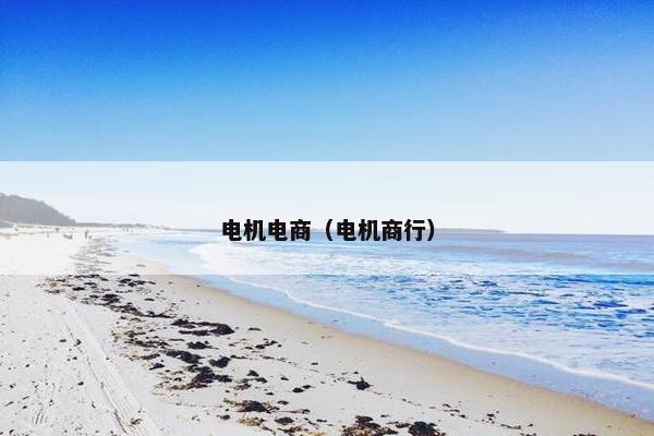 电机电商（电机商行）