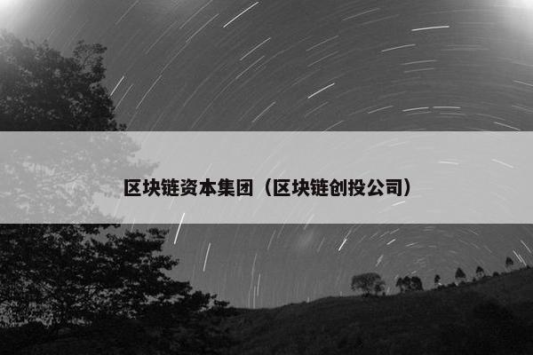 区块链资本集团（区块链创投公司）