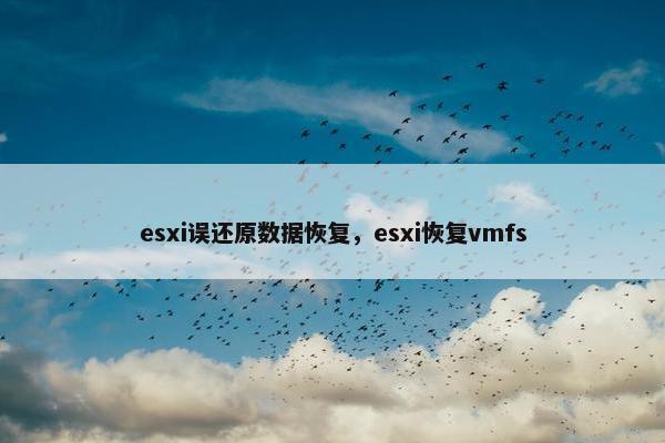 esxi误还原数据恢复，esxi恢复vmfs