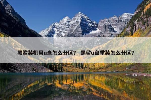 黑鲨装机用u盘怎么分区? 黑鲨u盘重装怎么分区? 黑鲨装机用u盘怎么分区? 黑鲨u盘重装怎么分区?