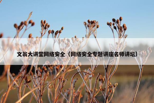 文翁大讲堂网络安全（网络安全专题讲座名师讲坛）