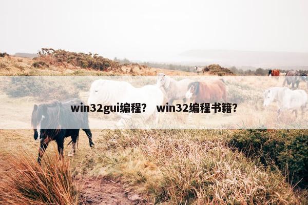 win32gui编程？ win32编程书籍？
