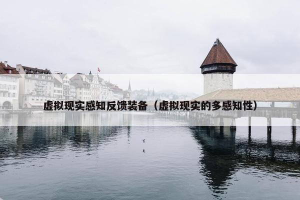 虚拟现实感知反馈装备（虚拟现实的多感知性）