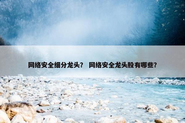 网络安全细分龙头？ 网络安全龙头股有哪些？