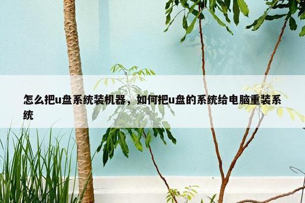 怎么把u盘系统装机器，如何把u盘的系统给电脑重装系统