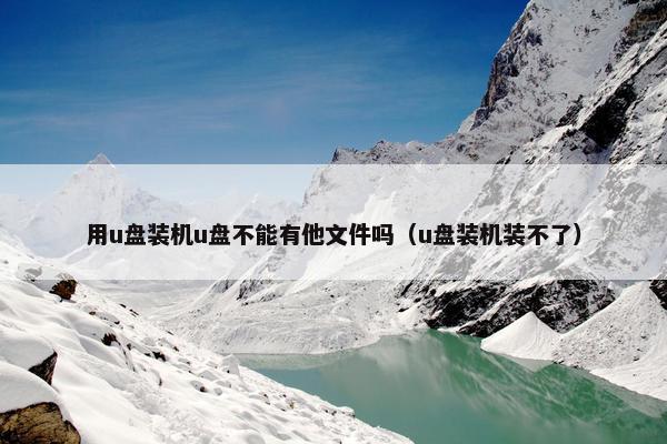 用u盘装机u盘不能有他文件吗（u盘装机装不了）