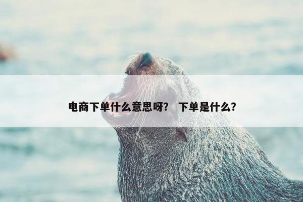 电商下单什么意思呀？ 下单是什么？