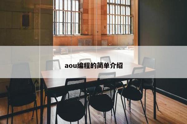 aou编程的简单介绍