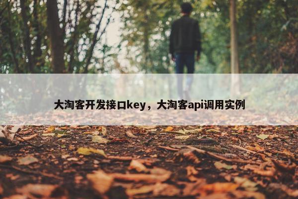 大淘客开发接口key，大淘客api调用实例