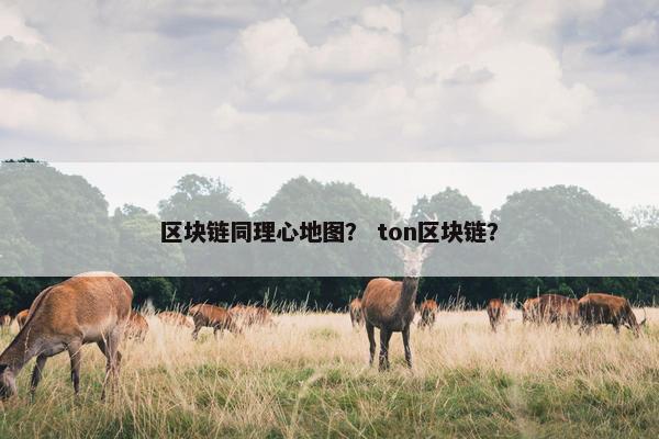 区块链同理心地图？ ton区块链？