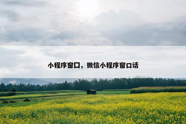 小程序窗囗，微信小程序窗口话