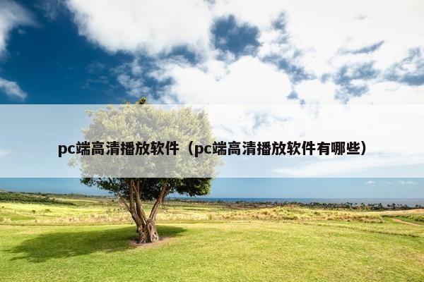 pc端高清播放软件（pc端高清播放软件有哪些）