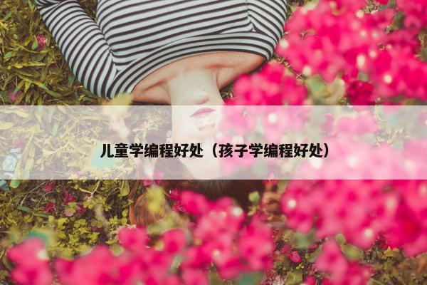 儿童学编程好处(孩子学编程好处) 儿童学编程好处(孩子学编程好处)
