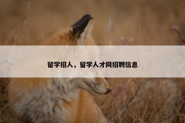 留学招人,留学人才网招聘信息 留学招人,留学人才网招聘信息