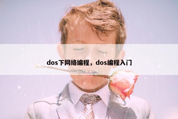 dos下网络编程,dos编程入门 dos下网络编程,dos编程入门