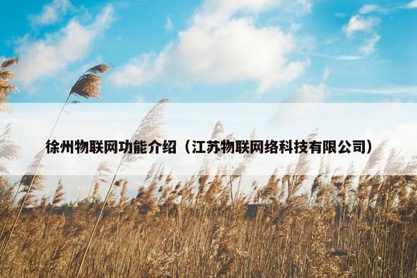 徐州物联网功能介绍（江苏物联网络科技有限公司）