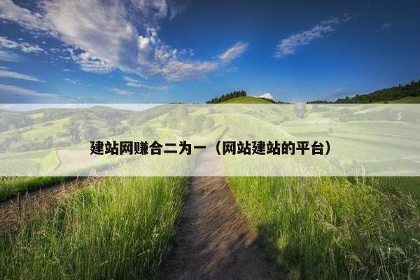 建站网赚合二为一（网站建站的平台）