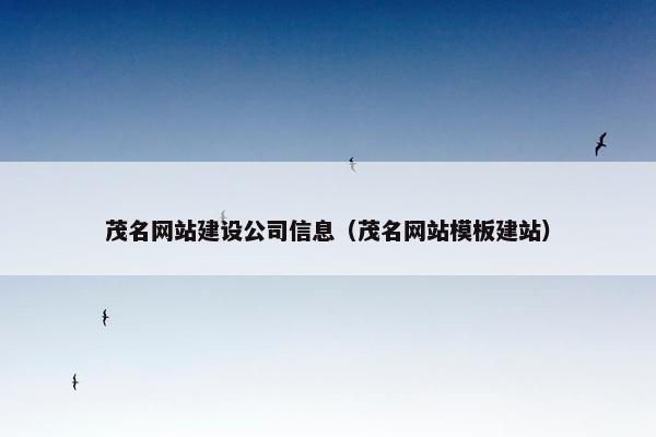 茂名网站建设公司信息（茂名网站模板建站）