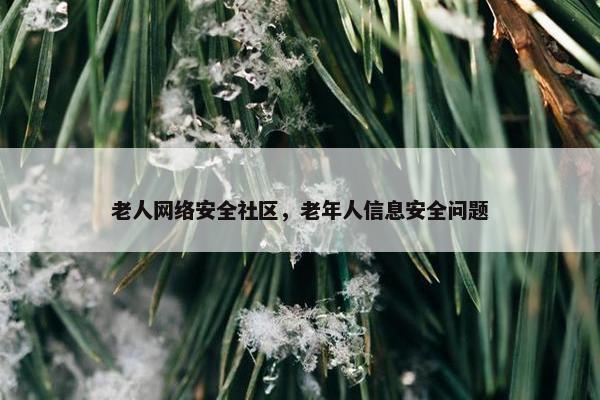 老人网络安全社区,老年人信息安全问题 老人网络安全社区,老年人信息安全问题