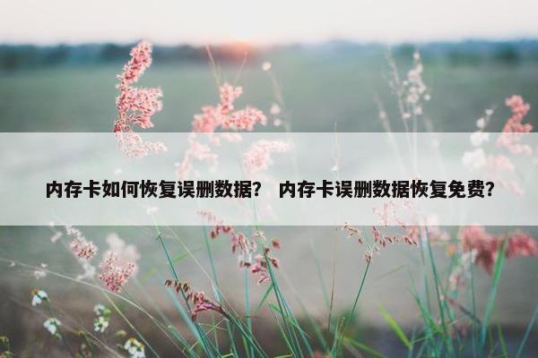 内存卡如何恢复误删数据? 内存卡误删数据恢复免费? 内存卡如何恢复误删数据? 内存卡误删数据恢复免费?