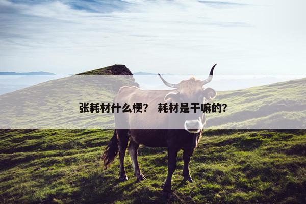 张耗材什么梗? 耗材是干嘛的? 张耗材什么梗? 耗材是干嘛的?
