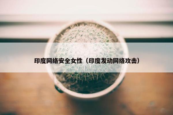印度网络安全女性(印度发动网络攻击) 印度网络安全女性(印度发动网络攻击)