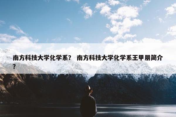 南方科技大学化学系？ 南方科技大学化学系王甲朋简介？
