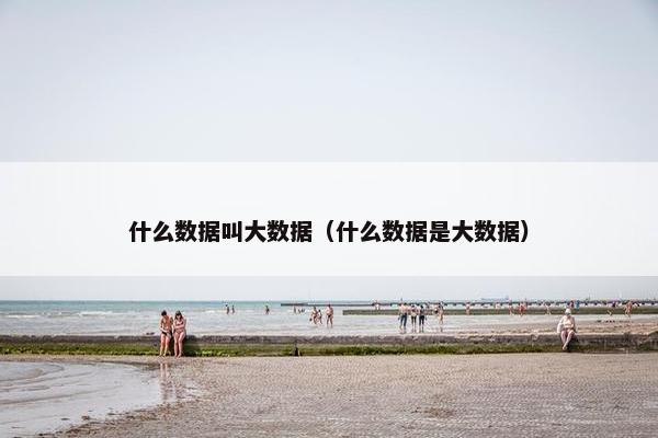 什么数据叫大数据(什么数据是大数据) 什么数据叫大数据(什么数据是大数据)