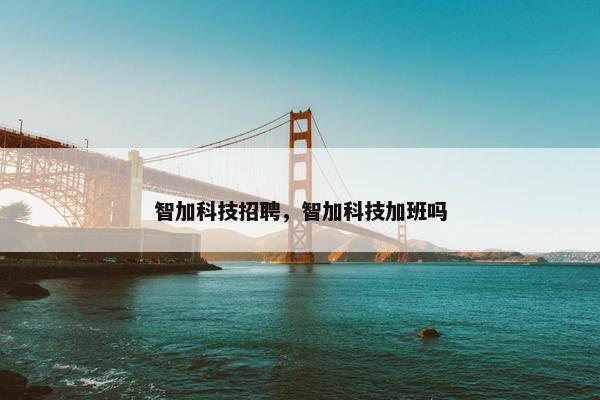 智加科技招聘，智加科技加班吗