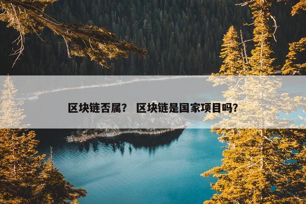 区块链否属？ 区块链是国家项目吗？